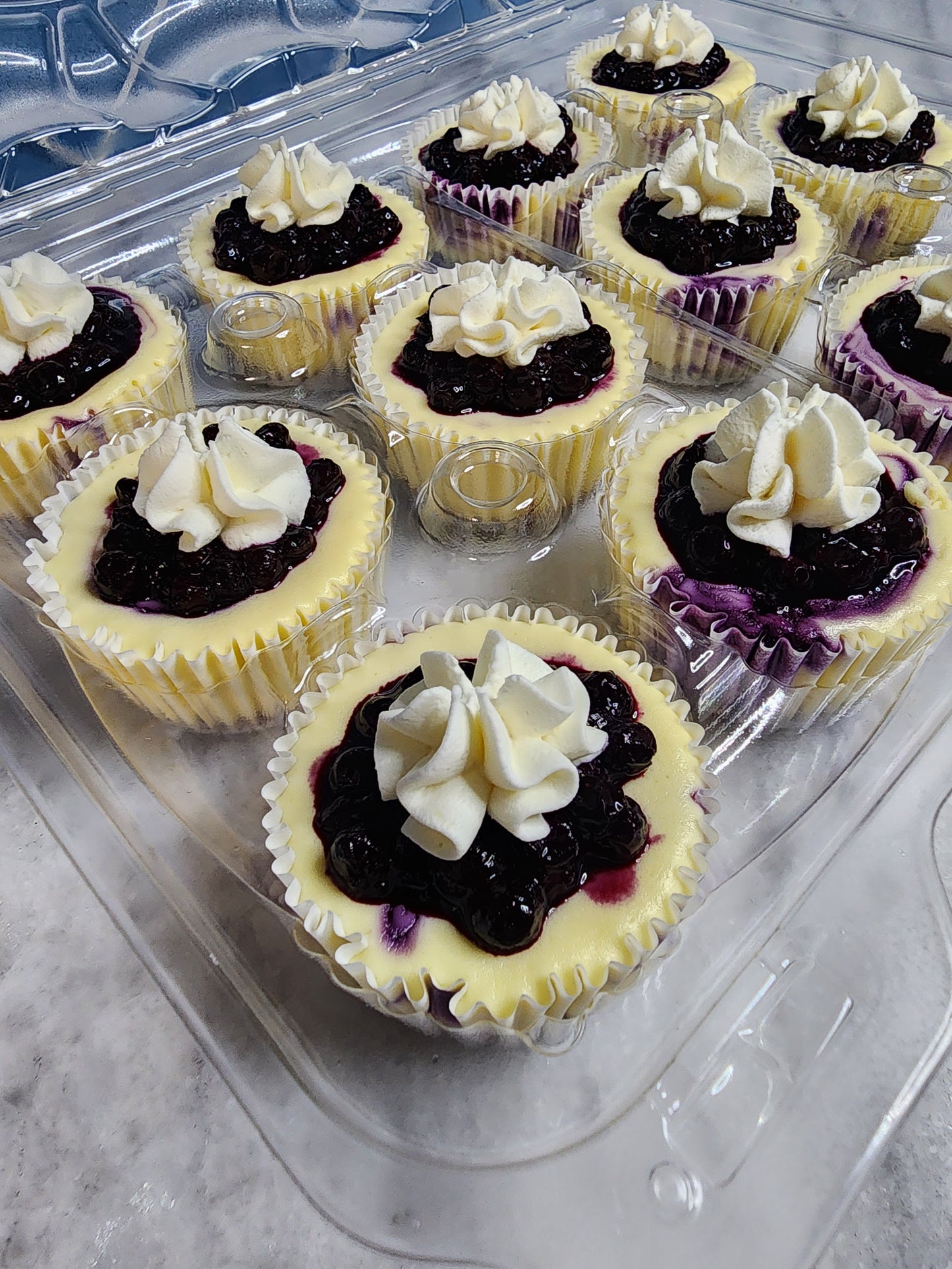 Dozen Blueberry Bliss Minis