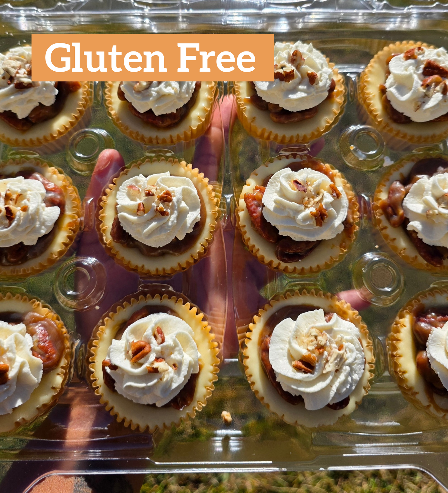 Dozen Gluten Free Pecan Pie Cheesecake Minis