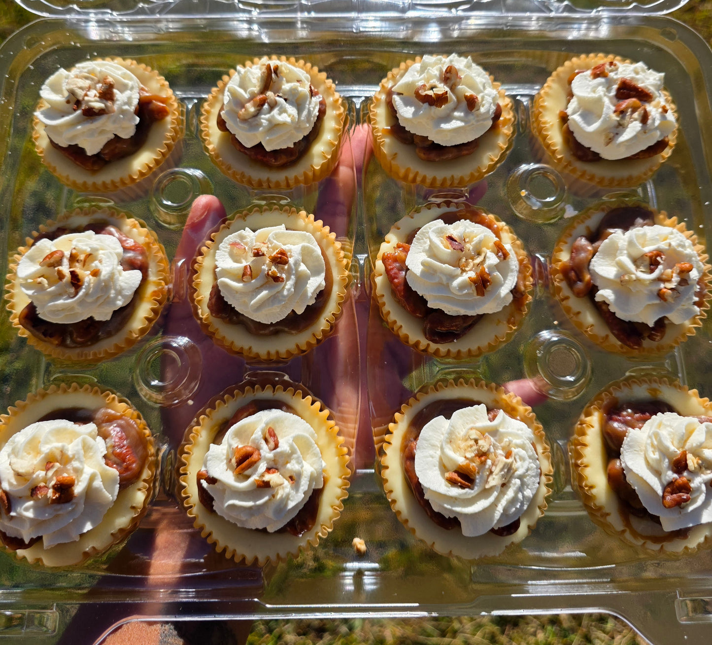 Dozen Pecan Pie Cheesecake Minis