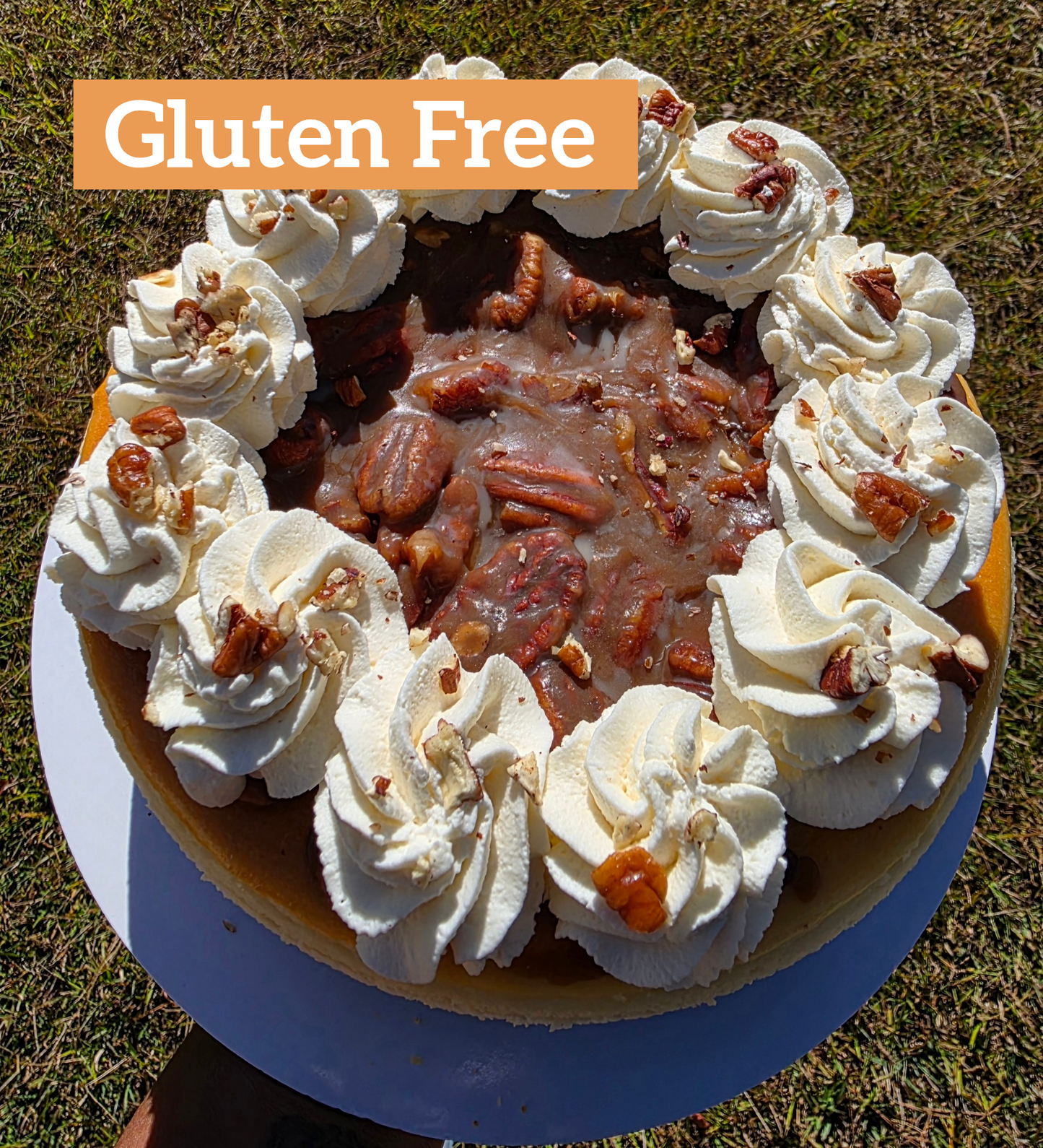 Gluten Free Pecan Pie Cheesecake